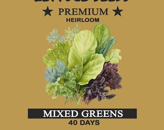 Gourmet Lettuce Seeds - Mixed Greens, Non-GMO Heirloom