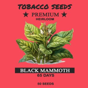 non gmo tobacco seeds Virginia Seed (Tabacum species) Grown successfully in the Caribbean Tobacco Seed, Green:Albino 3:1, Pack