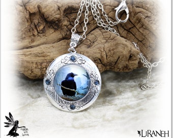 Lion photo cabochon verre pistolet noir Médaillon Collier Pendentif Bijoux Lion photo cabochon verre pistolet noir Médaillon Collier Pendentif Bijoux