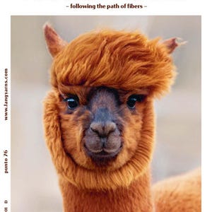 May include: A close-up of a brown alpaca with a fluffy, reddish-brown mane. The alpaca has a friendly expression and is looking directly at the camera. The text "ALPACA TRAILS - following the path of fibers -" is visible at the top of the image.