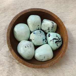 Variscite - Tumbled Stone - Lithotherapy - Natural Stones - Introspection - Clarity - Dichotomy - Analysis - Control - Expression