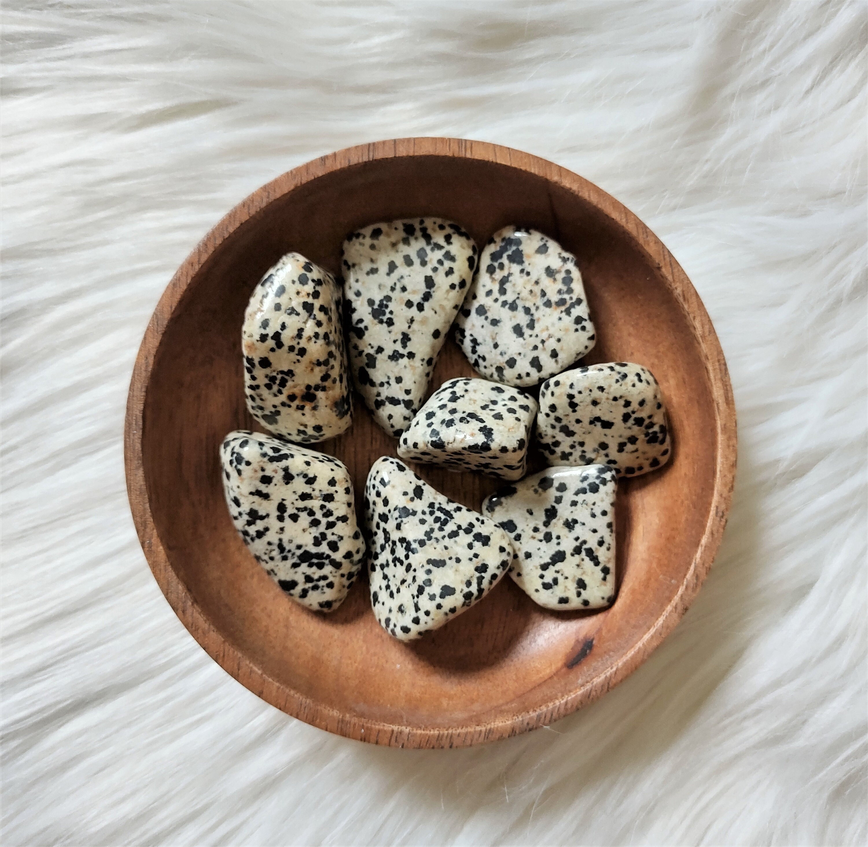 Jaspe Dalmatien - Pierre Roulée Lithothérapie Pierres Naturelles