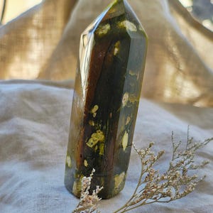 Peut inclure: Une pointe de cristal verte, brune et blanche avec une pointe pointue. Le cristal a une texture naturelle et rugueuse et est une pièce unique d'art naturel.
