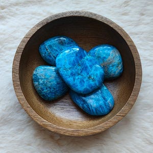 Könnte beinhalten: Eine Holzschale gefüllt mit fünf polierten blauen Apatitsteinen. Die Steine haben eine lebendige, ozeanartige Farbe mit natürlichen Mustern. Die Schale besteht aus hellbraunem Holz und liegt auf einer weißen, flauschigen Oberfläche.