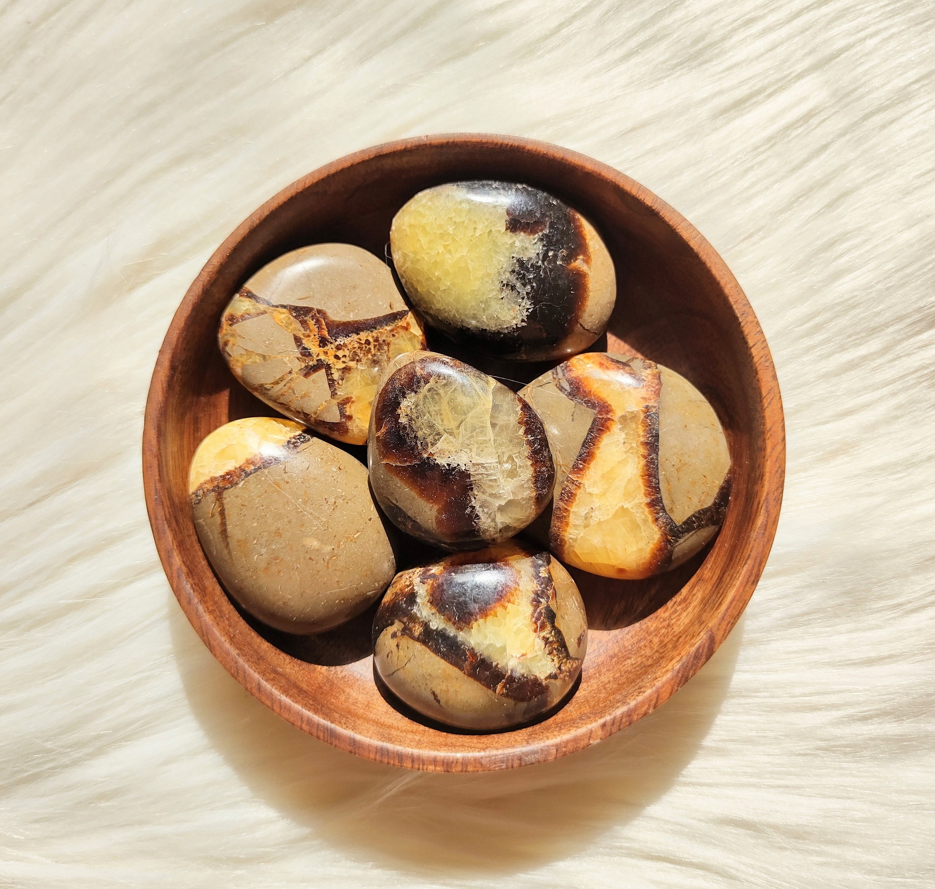 Septaria - Galet Lithothérapie Pierres Naturelles