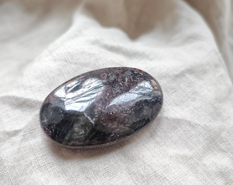 Garnet in Pyroxenite - Pebble - Lithotherapy - Natural Stones - Security - Anchoring - Truth - Stability - Strength - Endurance - 56