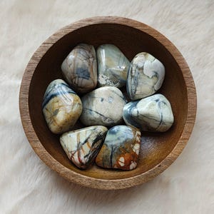 Picasso Jasper - Tumbled Stone - Lithotherapy - Natural Stones - Concentration - Courage - Inspiration - Experimentation - Pragmatism