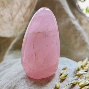 Rose Quartz - Free Form - Lithotherapy - Natural Stones - Love - Acceptance - Transformation - Calming - Clarity of Mind - 314
