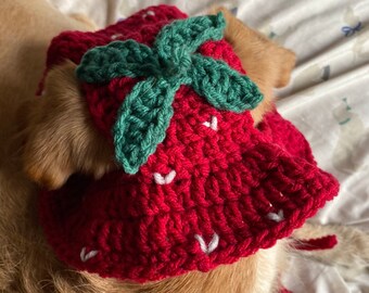 Crochet Dog Fruit Sun Hats - w/ FREE mini sketch portrait of your doggy