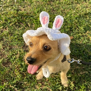 Crochet Plushy Bunny Dog Hat - w/ FREE mini sketch portrait of your doggy