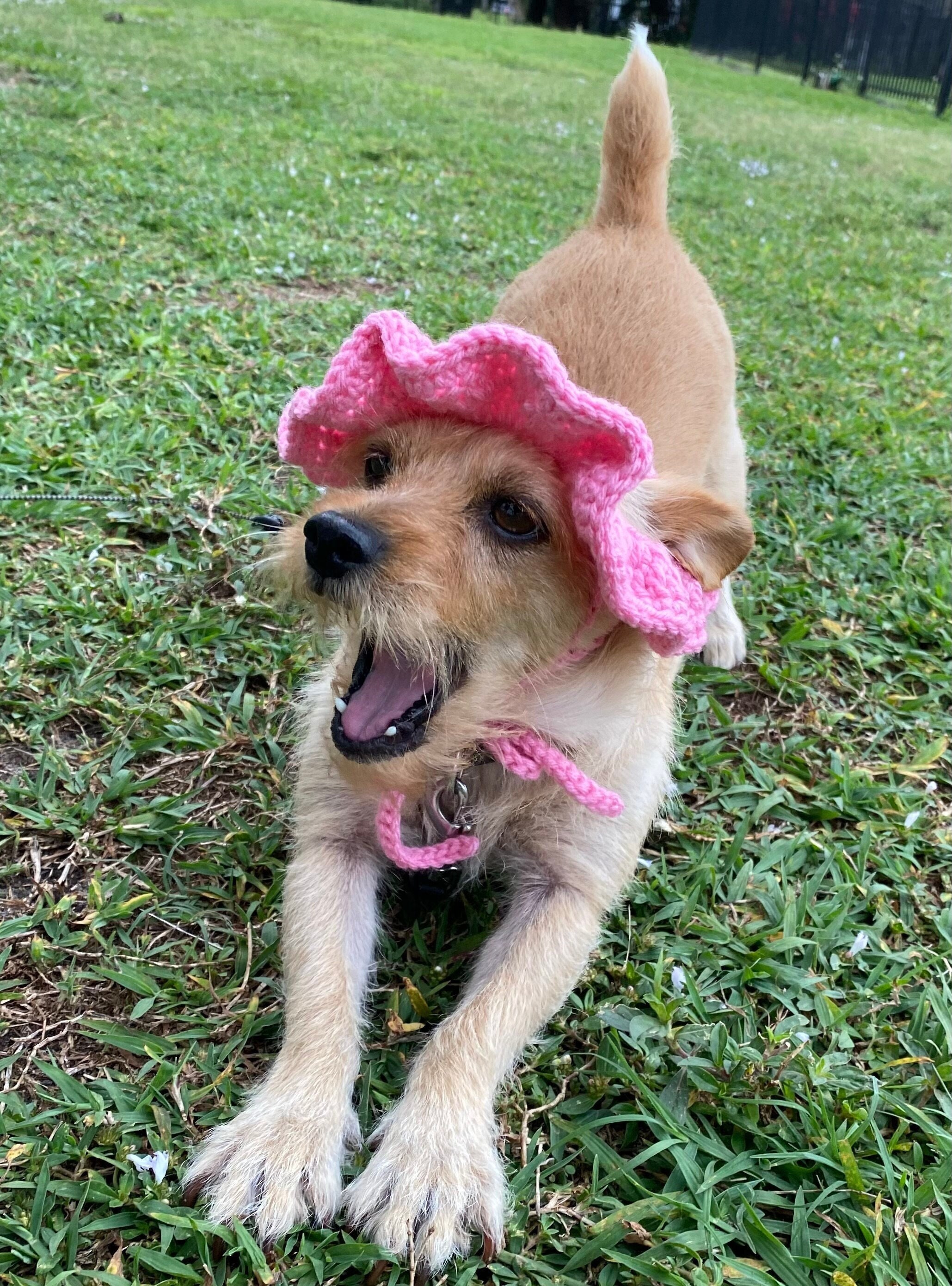 Crochet Dog Sun Hat W FREE Mini Sketch Portrait of Your Doggy Etsy Canada
