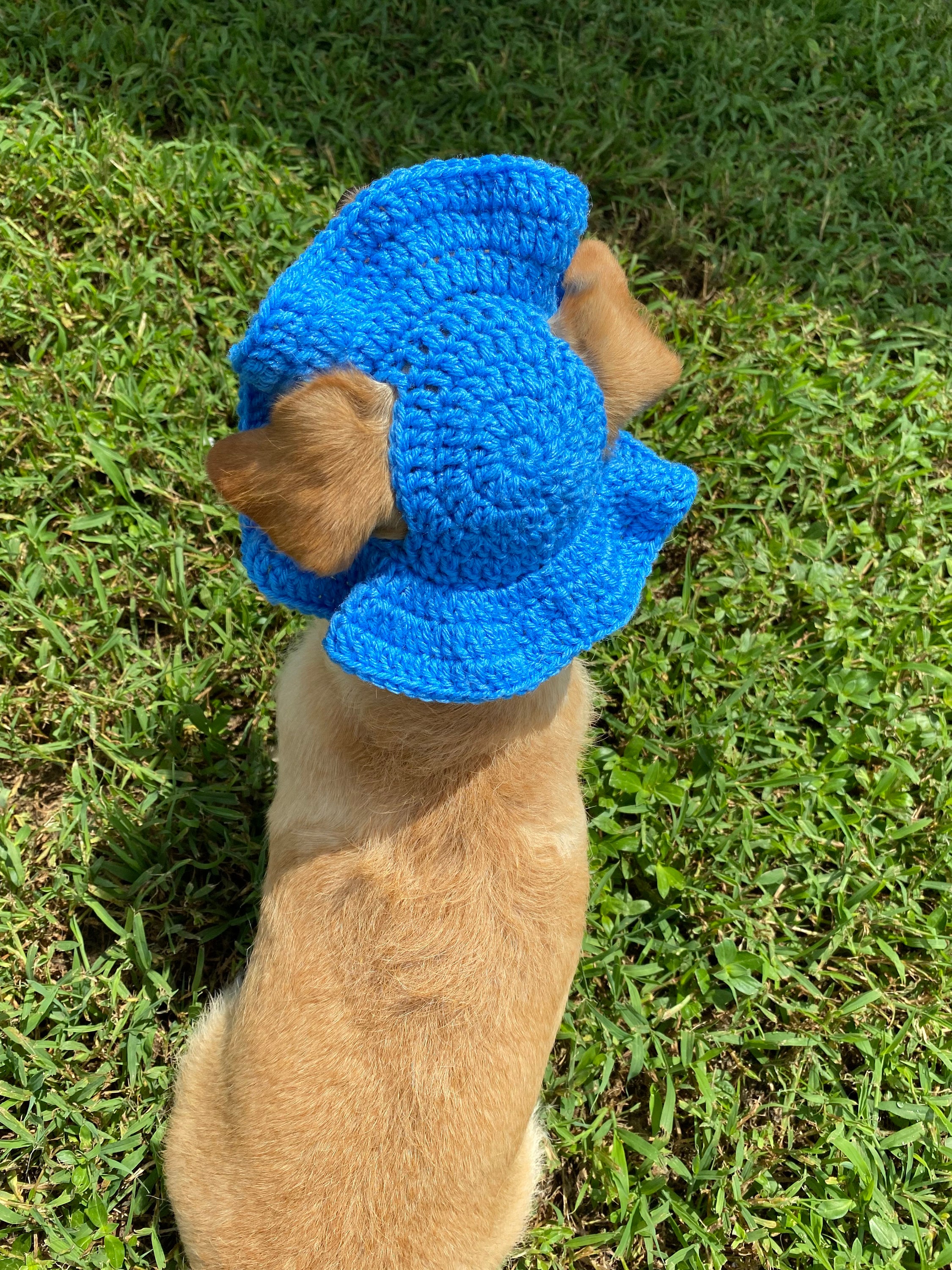 Crochet Dog Sun Hat w/ FREE sketch portrait of your doggy Etsy