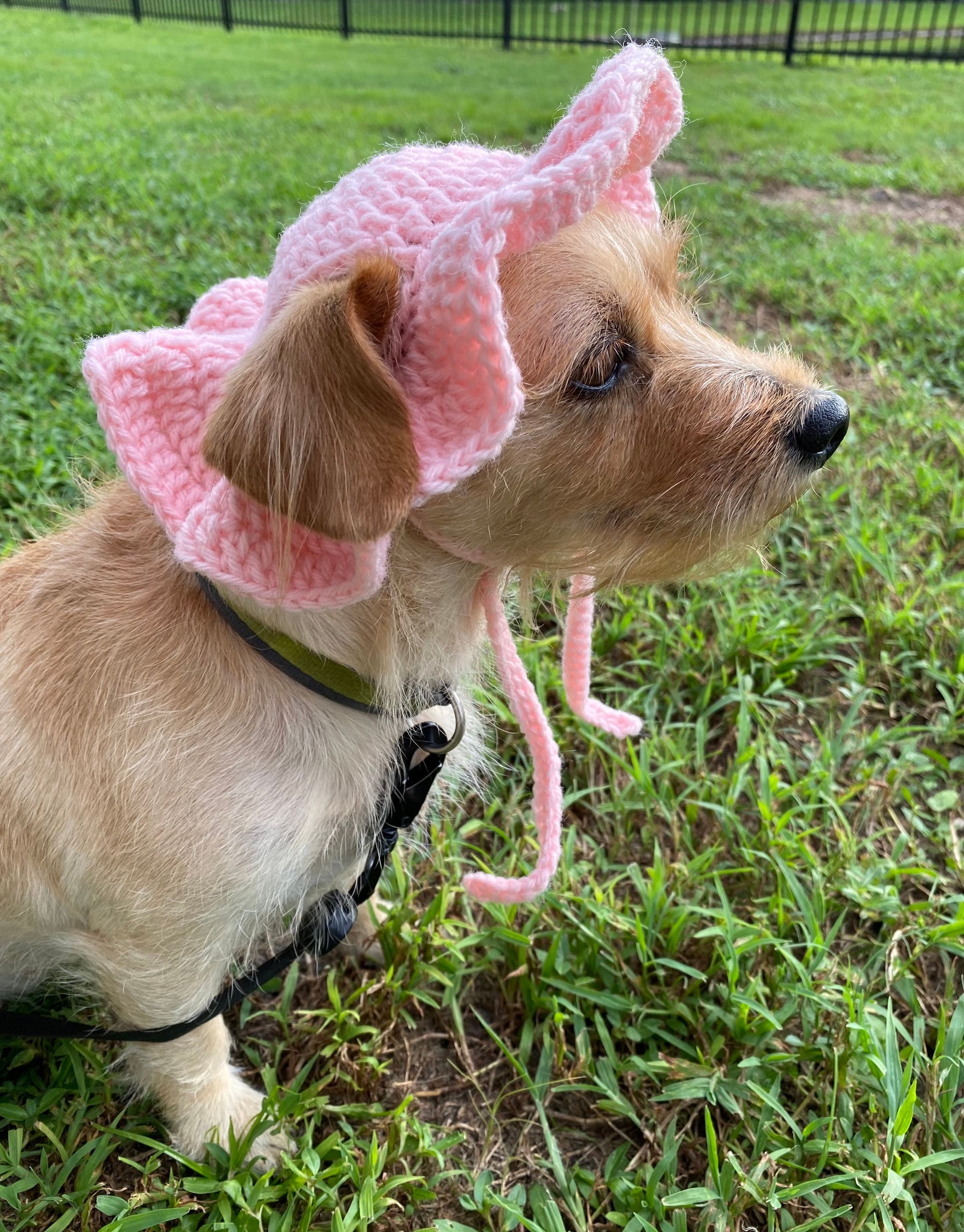 Crochet Dog Sun Hat w/ FREE sketch portrait of your doggy Etsy