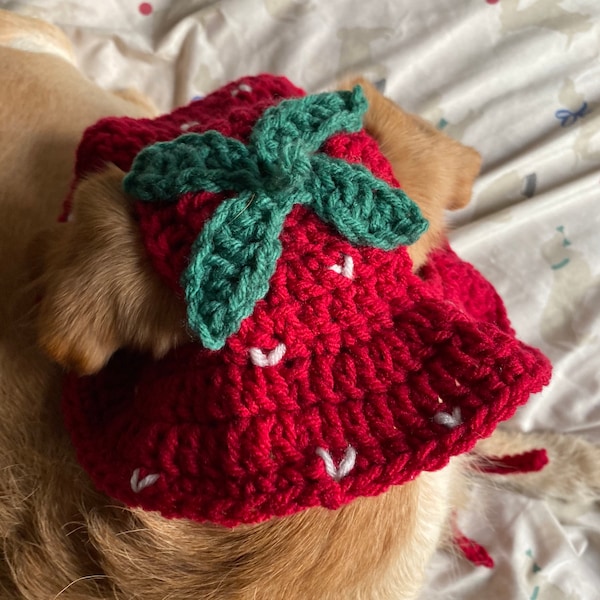 Crochet Dog Hats Etsy