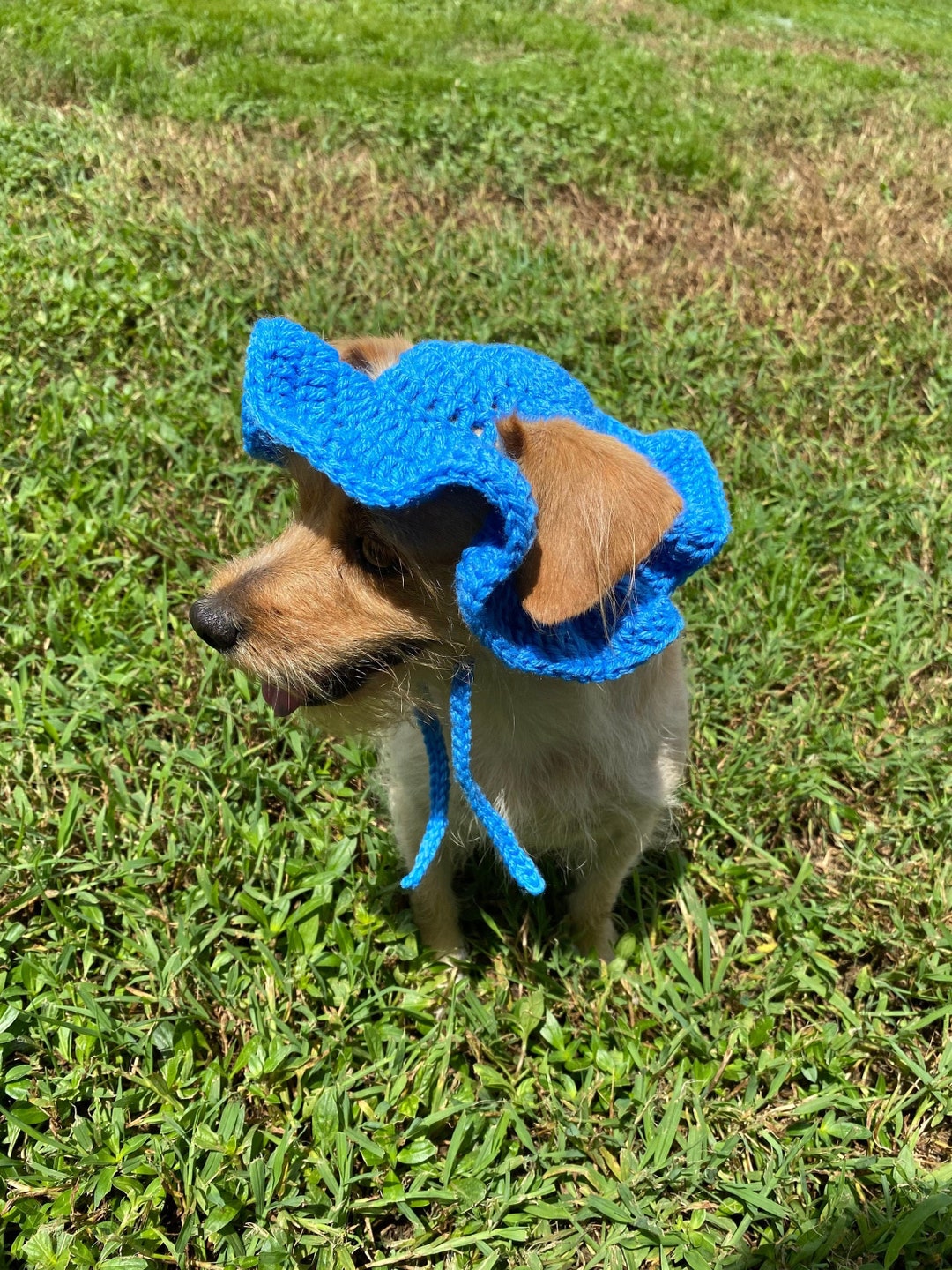 Crochet Dog Sun Hat W/ FREE Mini Sketch Portrait of Your Doggy Etsy