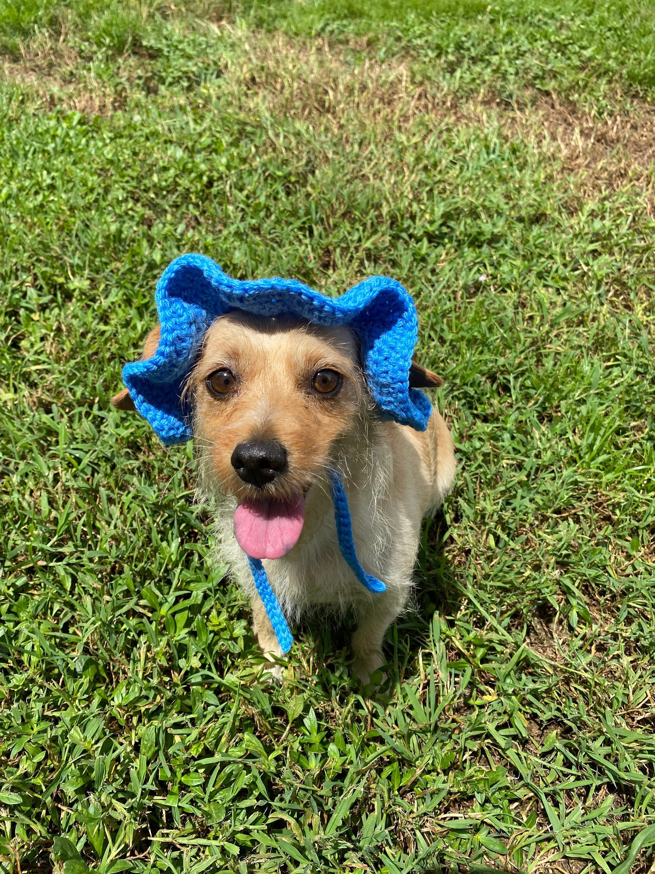 Crochet Dog Sun Hat w/ FREE sketch portrait of your doggy Etsy