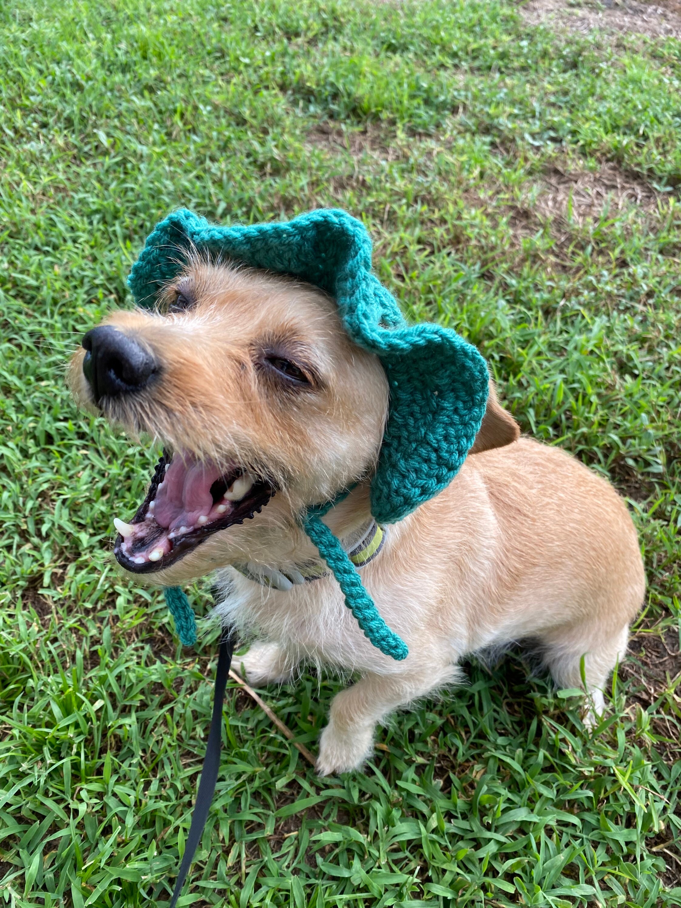 Crochet Dog Sun Hat w/ FREE sketch portrait of your doggy Etsy