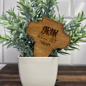 Funny Wooden Plant Stakes