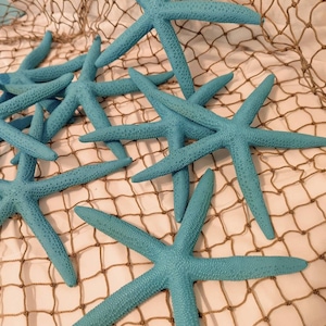 Starfish painted