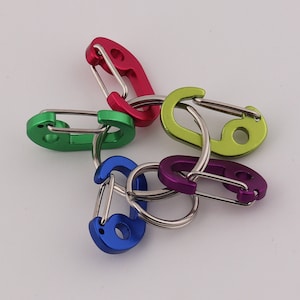 Può includere: Cinque portachiavi in metallo colorati con un anello argentato. I portachiavi sono verde, rosso, viola e giallo.