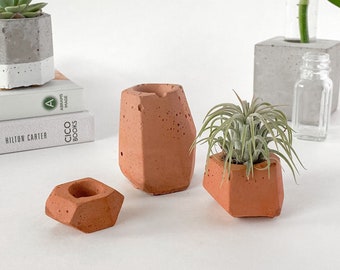Air Plants and Holders / Concrete Air Plant Holder / Terracotta / Set of Three / Air Plant Display / Plant Gift