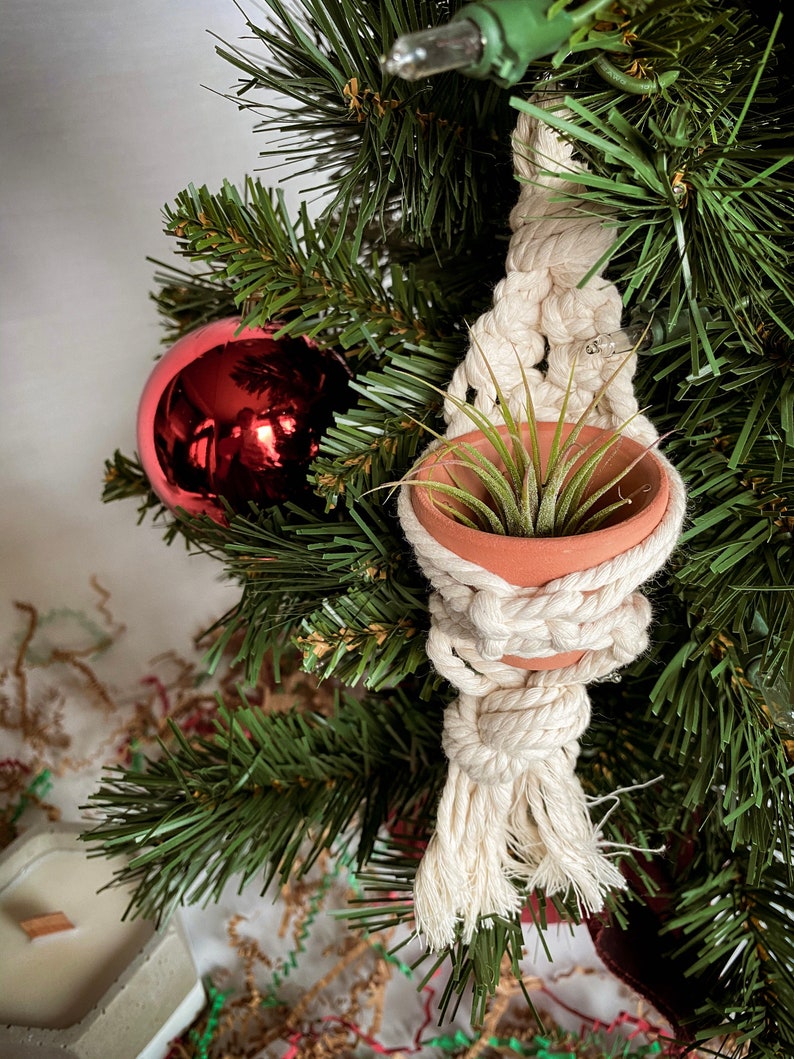 Plant Ornament With Air Plant / Macrame Plant Ornament Gift / Etsy
