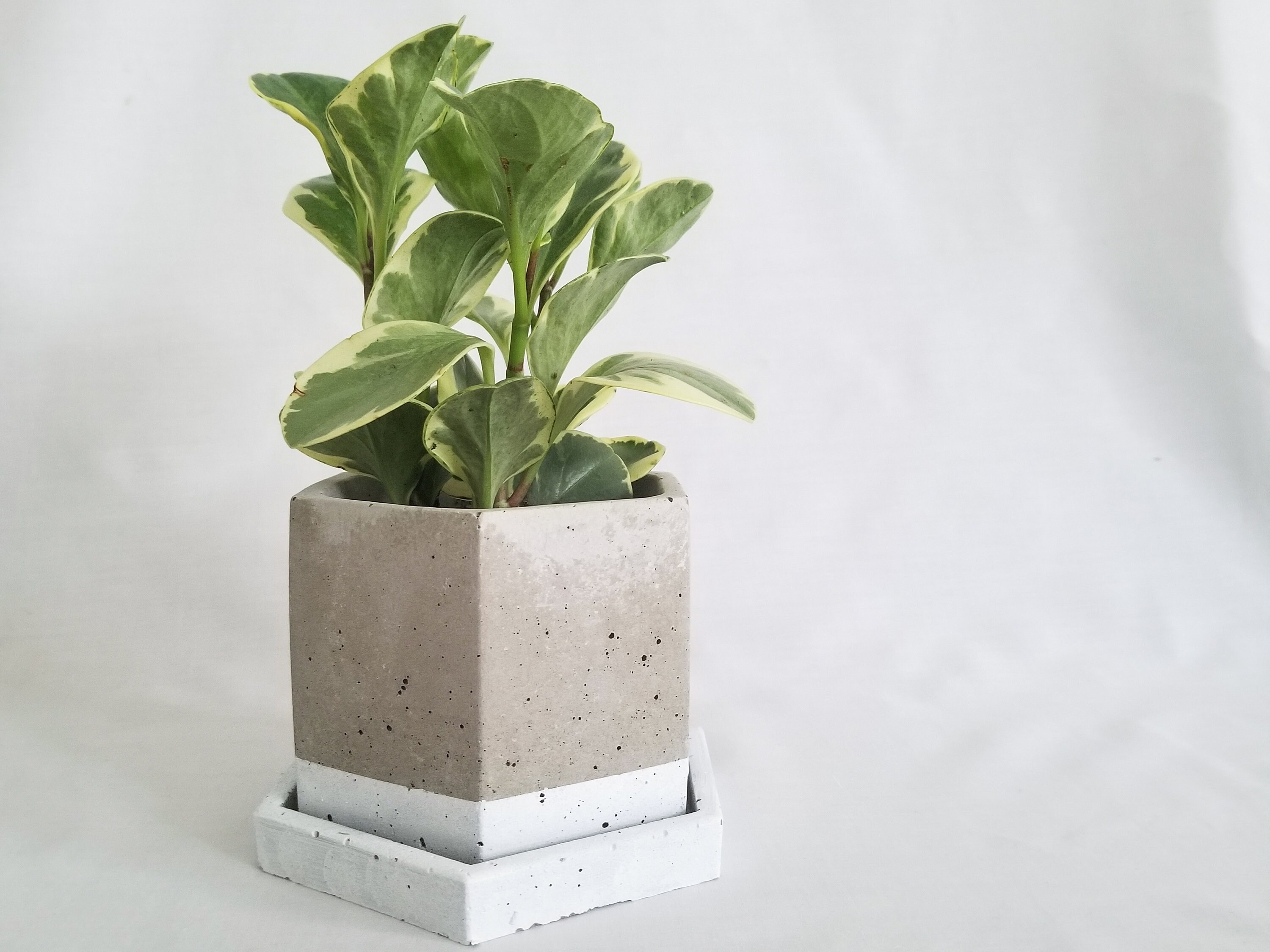 Large Planter With Drainage / Concrete Planter / Large Plant Pot / Dr…