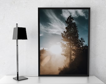 Tree in Truckee Photography Digital Print Wall Art