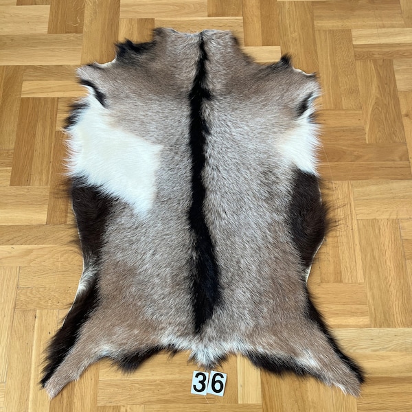 Goat Skin Exclusive 107 x 81 cm Genuine Hide Rug Goatskin Pelt Leather Prime Quality European Origin Natural Product