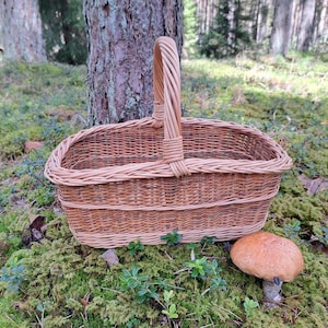 May include: A woven wicker basket with a handle, resting on mossy ground near a tree. The basket is light brown and oval-shaped, with a sturdy handle. A mushroom with a reddish-brown cap sits nearby, suggesting a foraging theme.