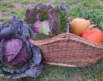 Panier en osier tressé à la main avec manche en bois - Recherche de nourriture, achats, cadeau de pendaison de crémaillère