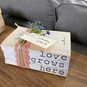 Könnte beinhalten: Ein Stapel dekorativer Bücher mit den Worten "love grows here" auf den Seiten. Die Bücher sind mit Bindfaden und einem rosa Spitzenband gebunden und mit einem Etikett mit der Aufschrift "costa rica" und einem kleinen Strauß blauer Blumen verziert.