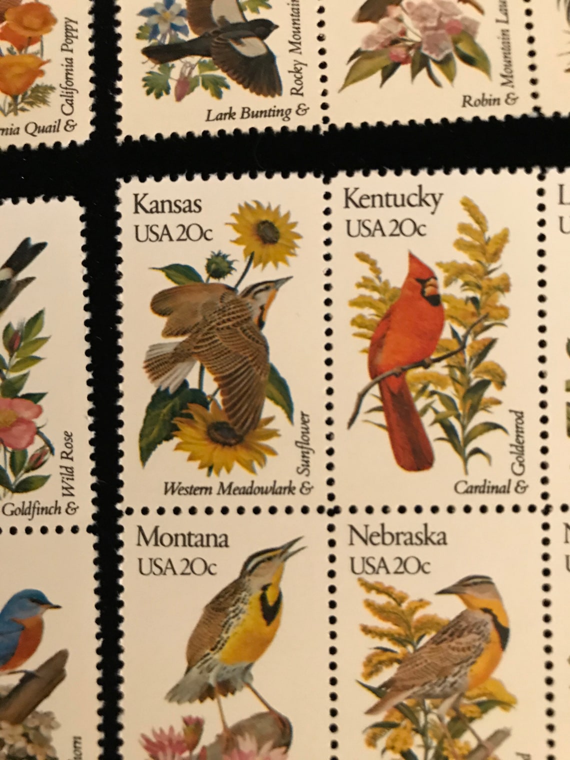 50 State Birds Flowers US Vintage Postage Stamps Etsy 50-state-birds-flowers-us-vintage-postage-stamps-etsy