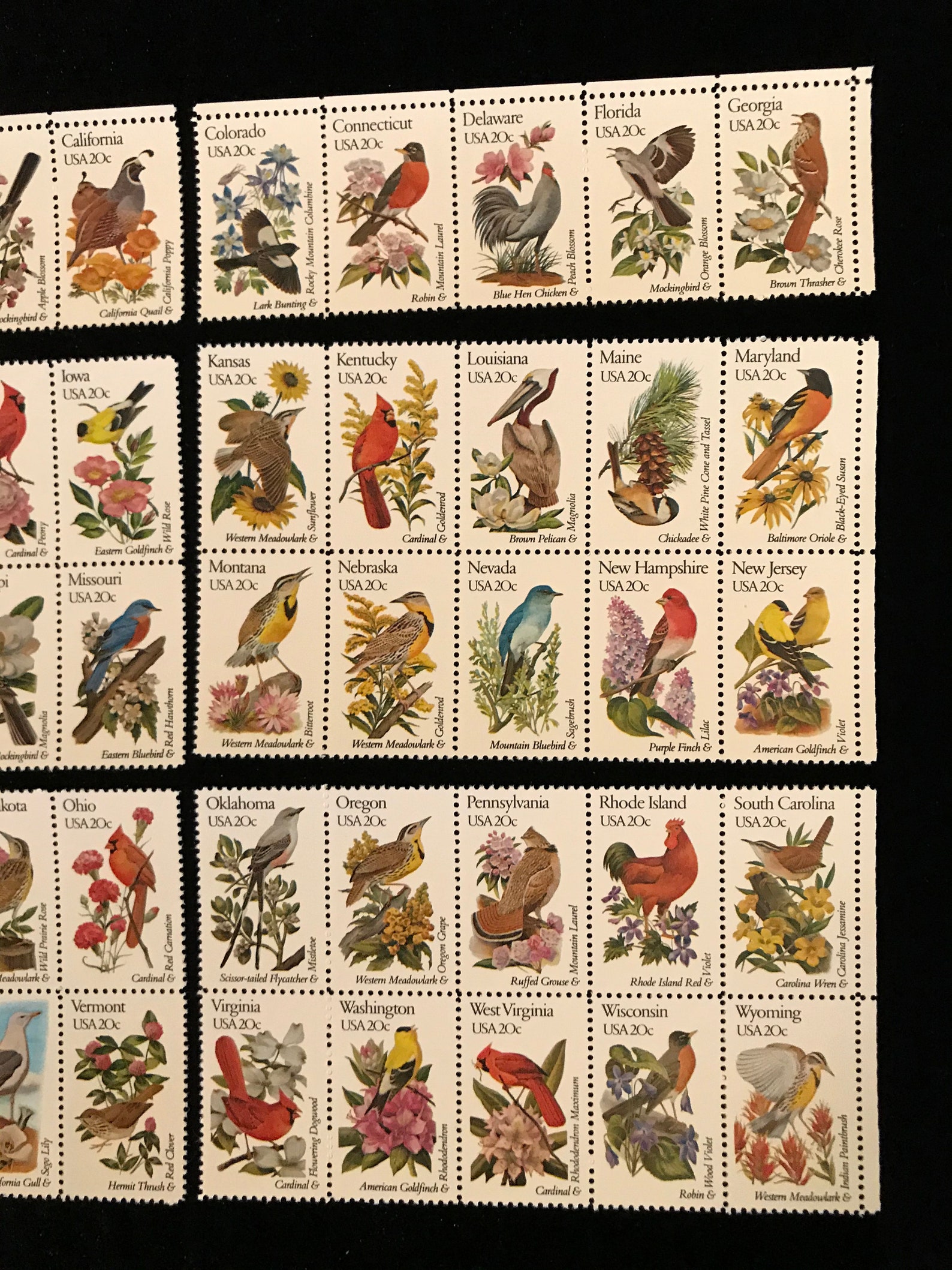 50 State Birds & Flowers US Vintage Postage Stamps Etsy