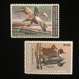 RW49 & RW50, set of 2, Mint Never Hinged, US Duck Hunting Stamps, issued 1982, 1983