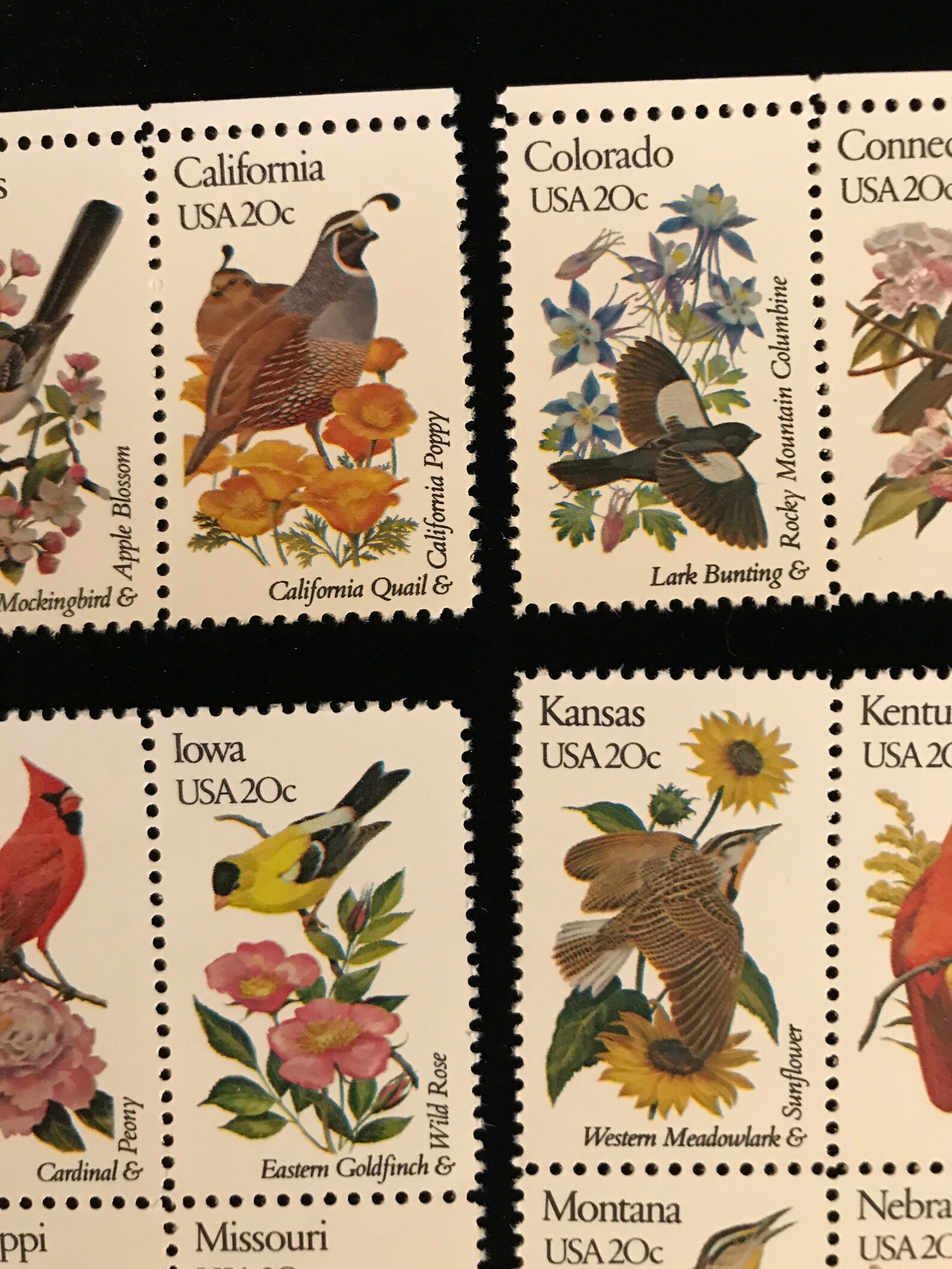 50 State Birds Flowers US Vintage Postage Stamps Etsy 50-state-birds-flowers-us-vintage-postage-stamps-etsy