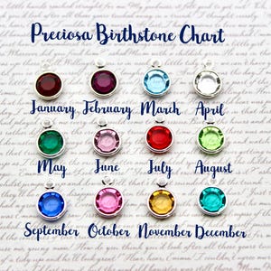 May include: A chart showing the birthstones for each month of the year. The chart features a silver setting with a round, faceted gemstone for each month. The gemstones are: Garnet, Amethyst, Aquamarine, Diamond, Emerald, Alexandrite, Ruby, Peridot, Sapphire, Opal, Topaz, and Tanzanite.