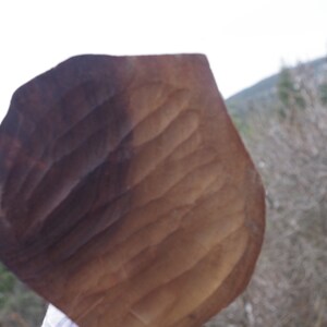 Puede incluir: Primer plano de un objeto grande, de color marr&oacute;n, con forma de hoja y superficie texturizada. El objeto est&aacute; hecho de madera y tiene un aspecto natural y r&uacute;stico.