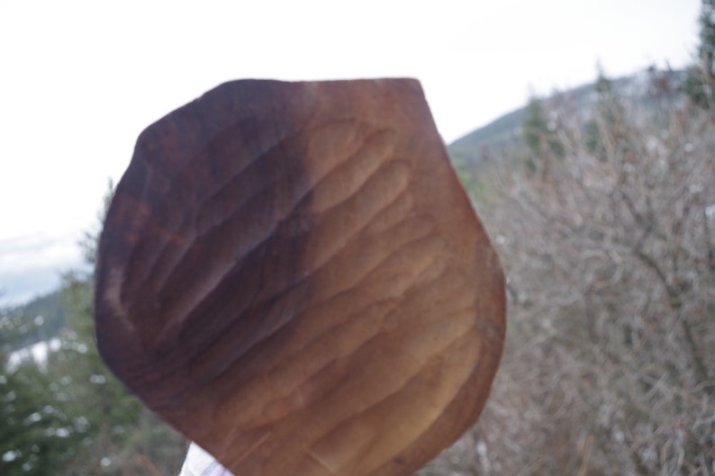Puede incluir: Primer plano de un objeto grande, de color marr&oacute;n, con forma de hoja y superficie texturizada. El objeto est&aacute; hecho de madera y tiene un aspecto natural y r&uacute;stico.
