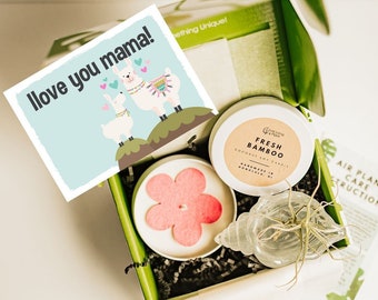 Mother's Day Gift Box, Air Plant, Coconut Soy Candle, Resin Dish