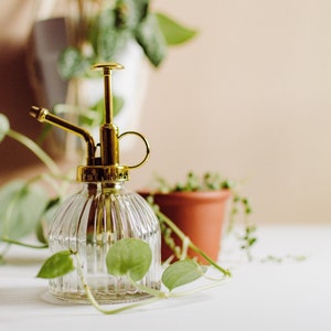 Plant Mister, Plant Spritzer, Vintage Plant Mister, Glass Plant Mister,Antique Plant Mister,Water Sprayer, Indoor Plant Care, Gardening Tool