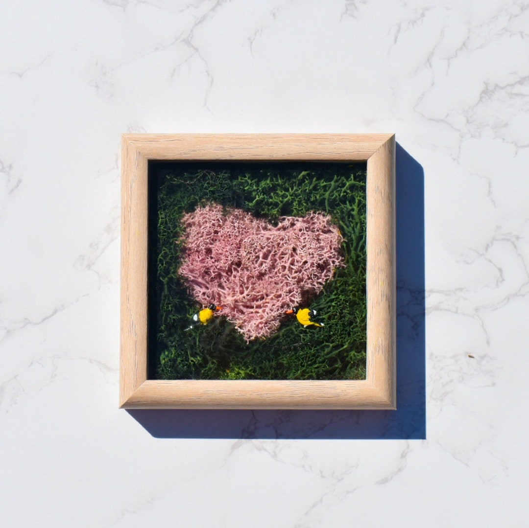 DIY Moss Art, DIY Kit, Moss Art, Moss Art Kit, Holiday Gift, Christmas