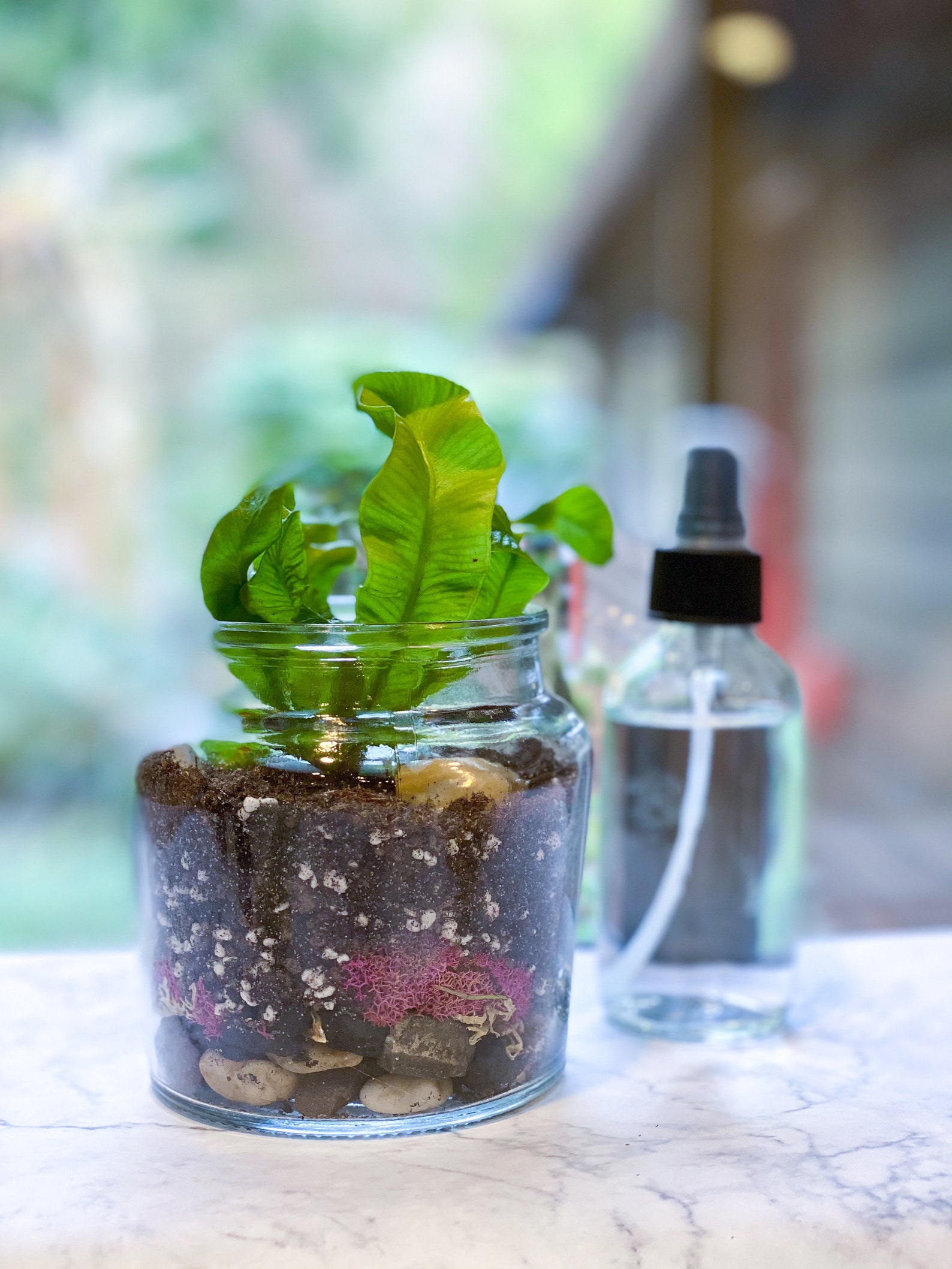 Closed Terrarium DIY Terrarium Kit Terrarium Craft Kit for Etsy