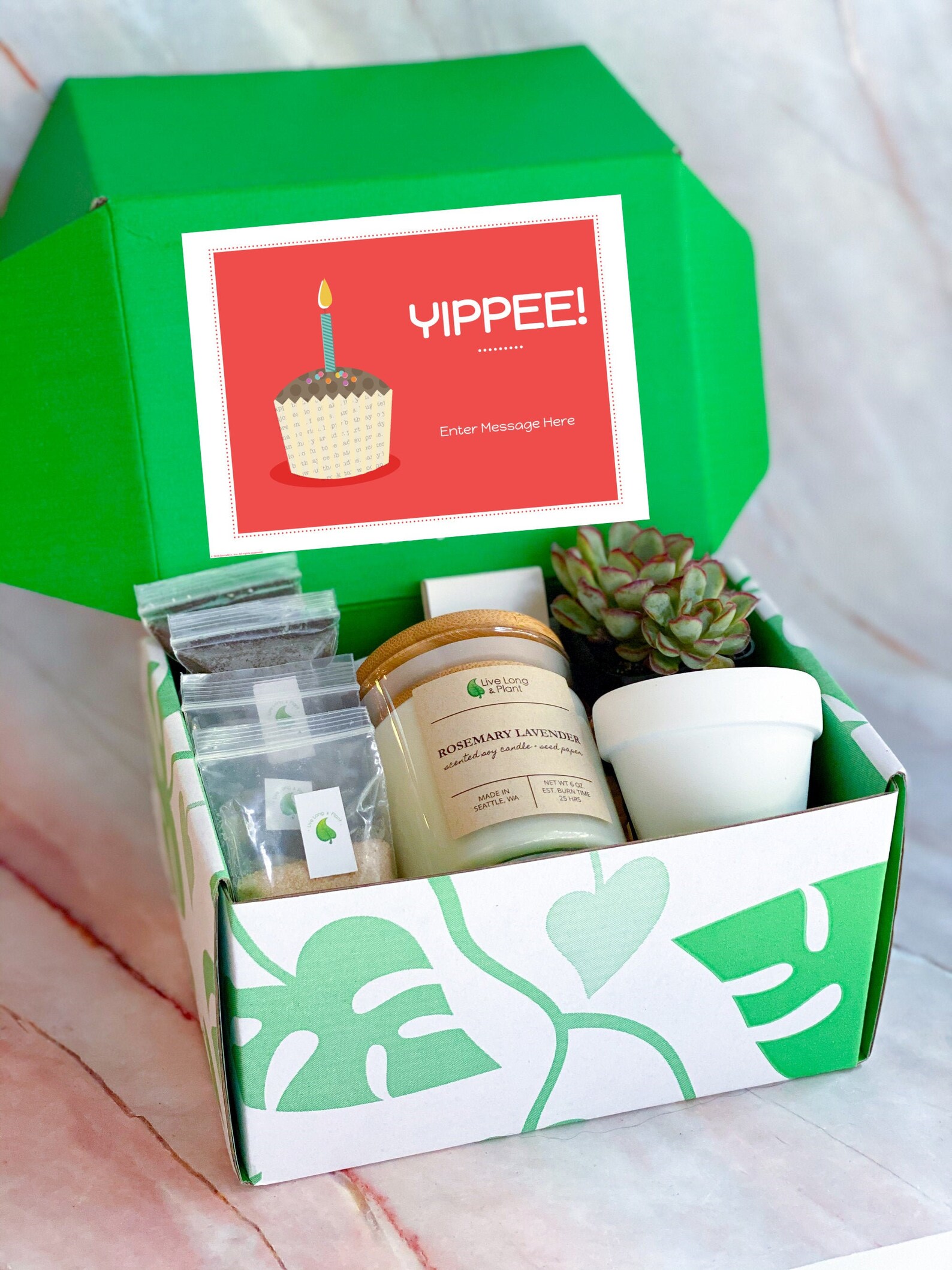 Succulent Gift Box Terrarium Kit DIY Terrarium Gift Box Etsy