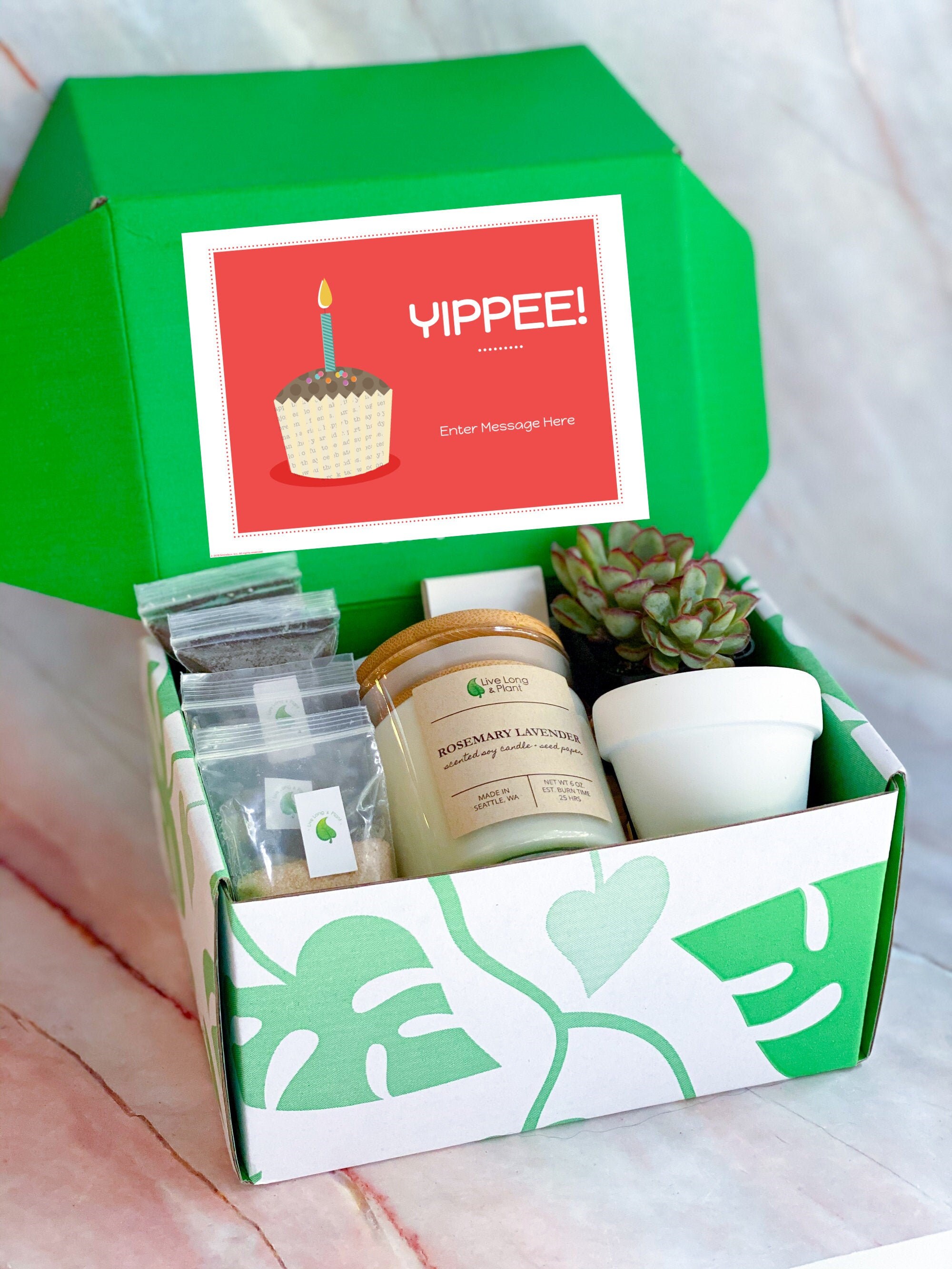 Succulent Gift Box Terrarium Kit DIY Terrarium Gift Box Etsy