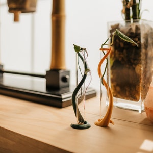Propagation Station, Propagation station stand,Propagation Tube, Propagation Vase, Plant Accessories,Indoor Gardening Kit,Plant Rooting Vase