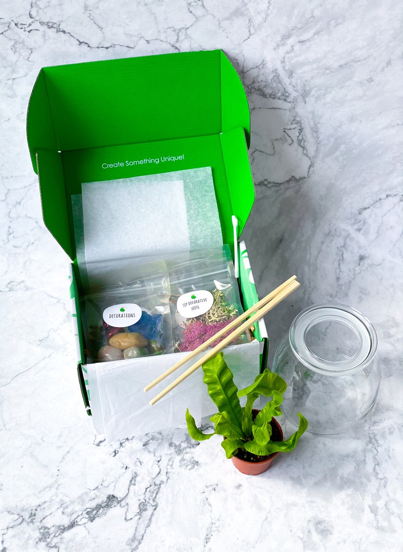 Closed Terrarium DIY Terrarium Kit Terrarium Craft Kit for Etsy