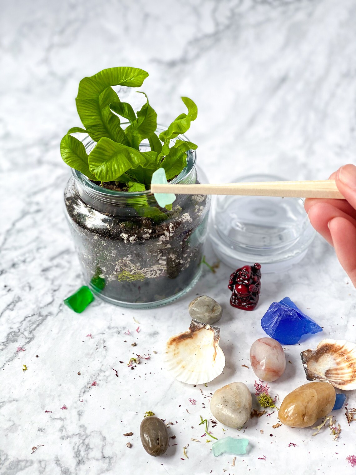 Closed Terrarium DIY Terrarium Kit Terrarium Craft Kit for Etsy