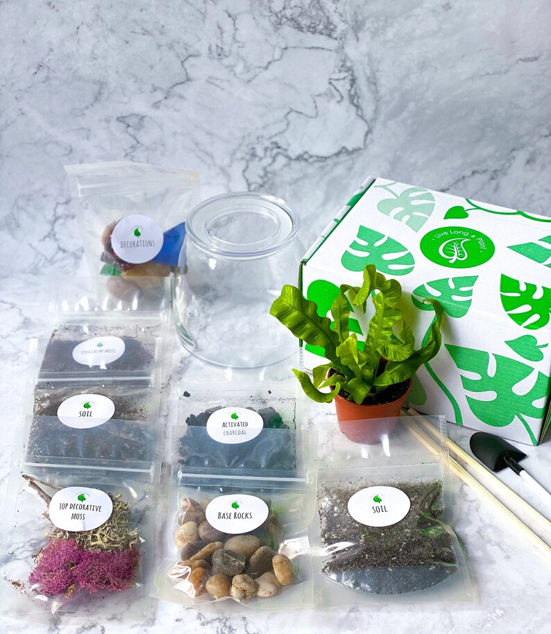 Closed Terrarium DIY Terrarium Kit Terrarium Craft Kit for Etsy