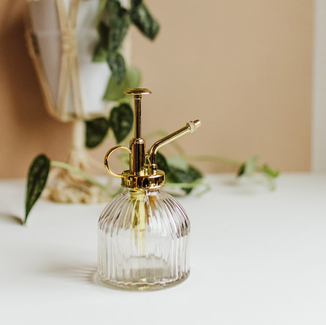 Vintage-style Glass Plant Mister • Succulent & Air Plant Watering Spray Bottle - Etsy